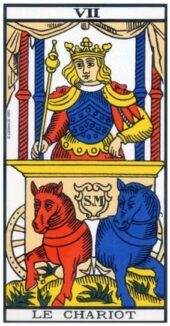 card-19